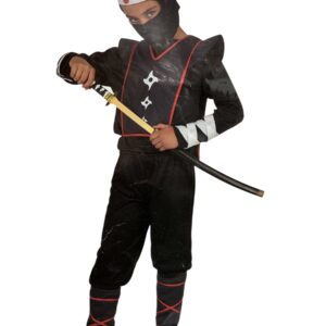 ninja guerrero