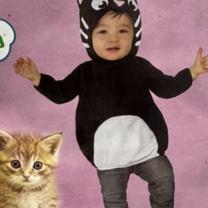 gatito