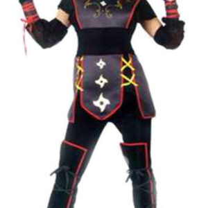 ninja guerrera